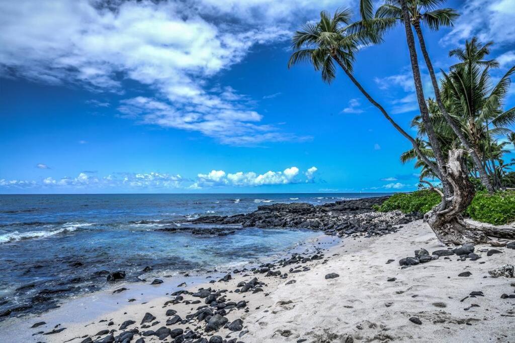 Newly Upgraded 1Br Unit Near Beach Max Of 5 Guests Kailua-Kona Luaran gambar