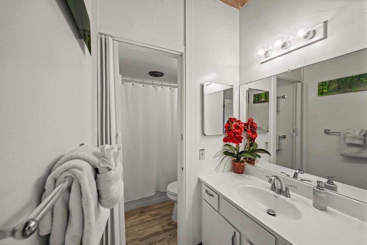 Newly Upgraded 1Br Unit Near Beach Max Of 5 Guests Kailua-Kona Luaran gambar
